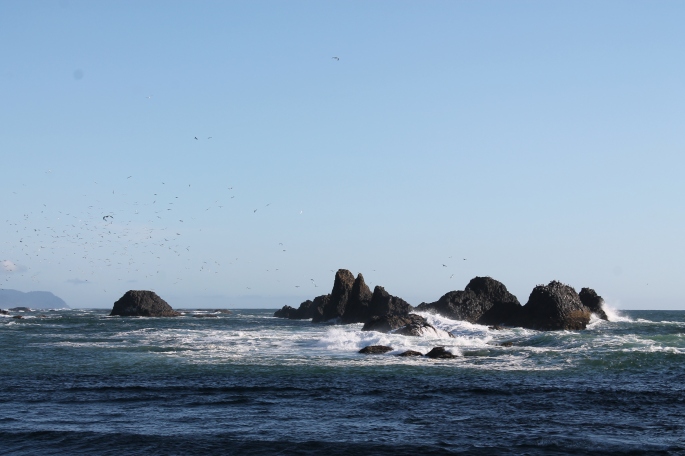 Seal Rock OR